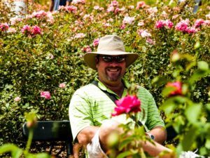 Coming up Roses, Buenos Aires Rose Garden, 2015